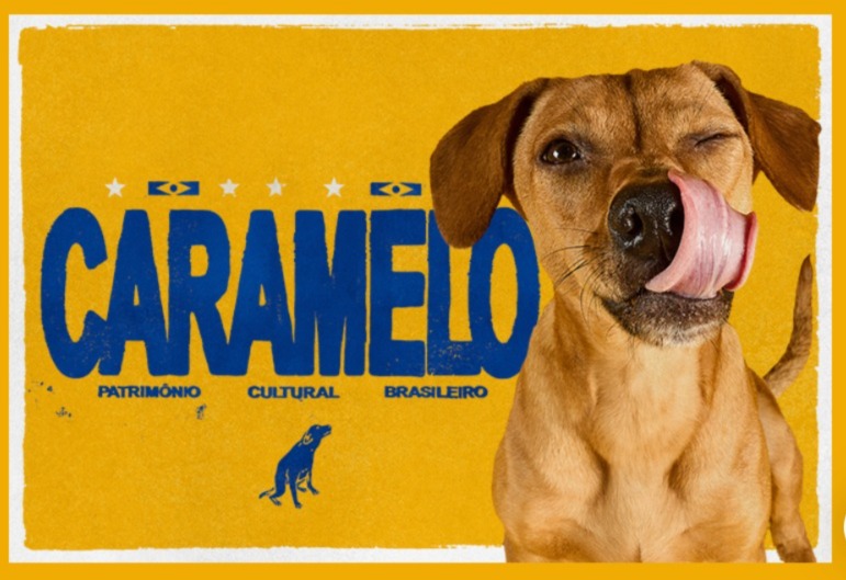 Cachorro influenciador: caramelo invade NBA pela PEDIGREE®